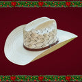 Randado George Panal 100X
