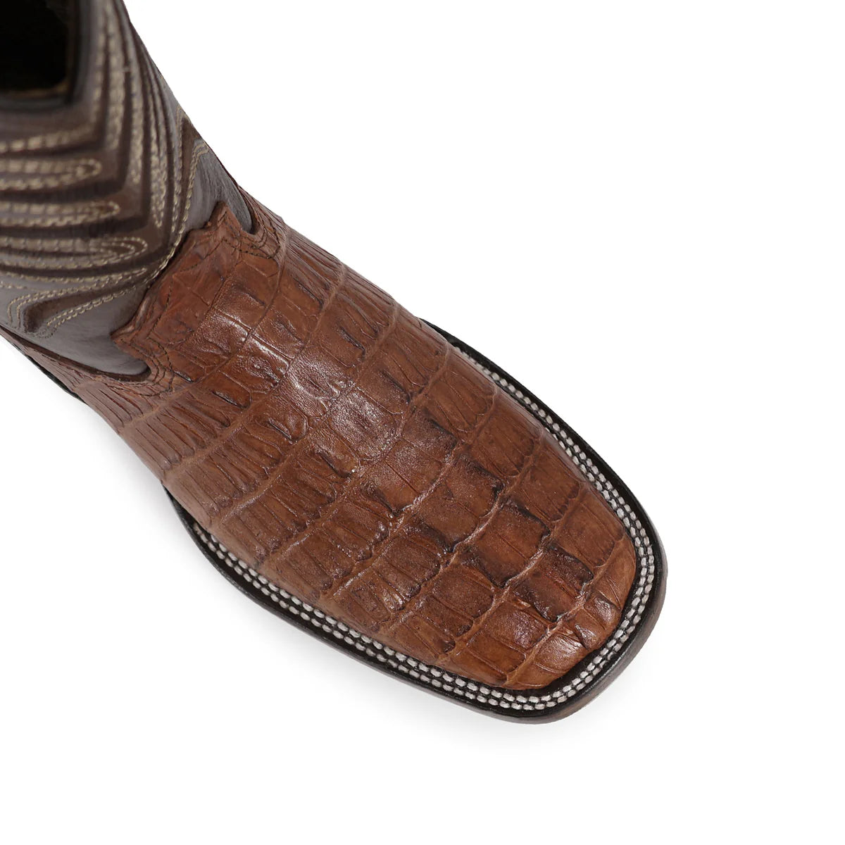 BOTA VAQUERA BULLDOG COCODRILO COLA COÑAC