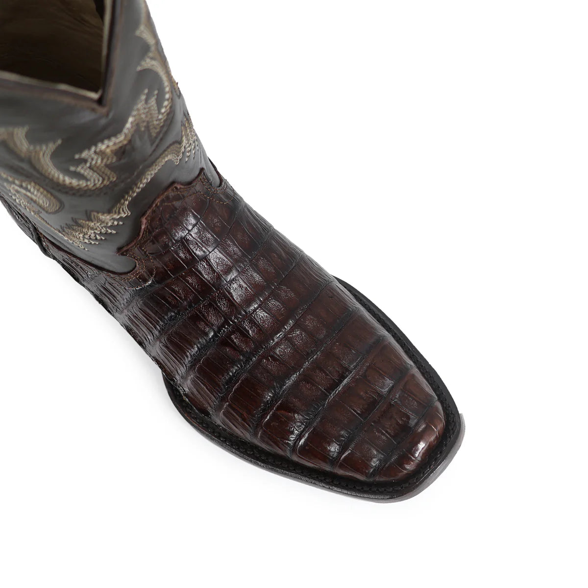 BOTA VAQUERA DUBAI COCODRILO COLA BELLY CAFE